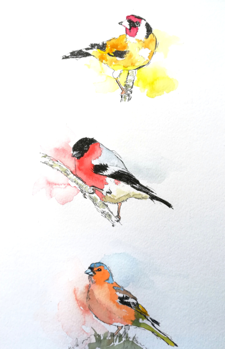 3 Finches Watercolour