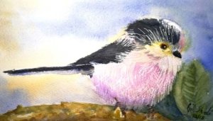 Long Tailed Tit Watercolour