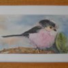 Long Tailed Tit Watercolour Framed